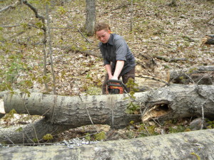 Log Clearing