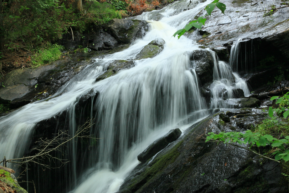 Yellow Dog Tributary