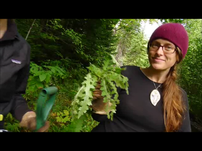 Christy Budnick and the European Swamp Thistle rosette.