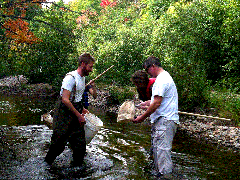 (L-R) Declan Shalley, Reed Saam, and Paul Tangora in the Yellow Dog River, catching macroinvertebrates