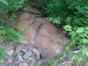 Suspended sediment in the East Branch of the Salmon Trout River due to the road construction issue.