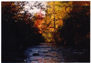 The Yellow Dog River in peak color season.