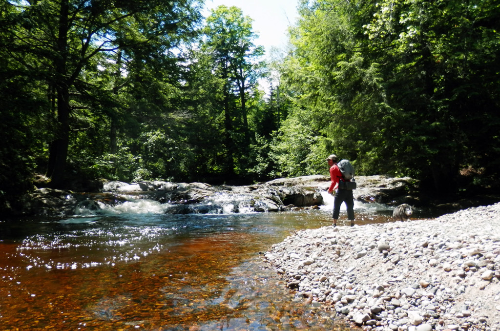 A visitor from Chicago fishes the Yellow Dog River for Brook Trout