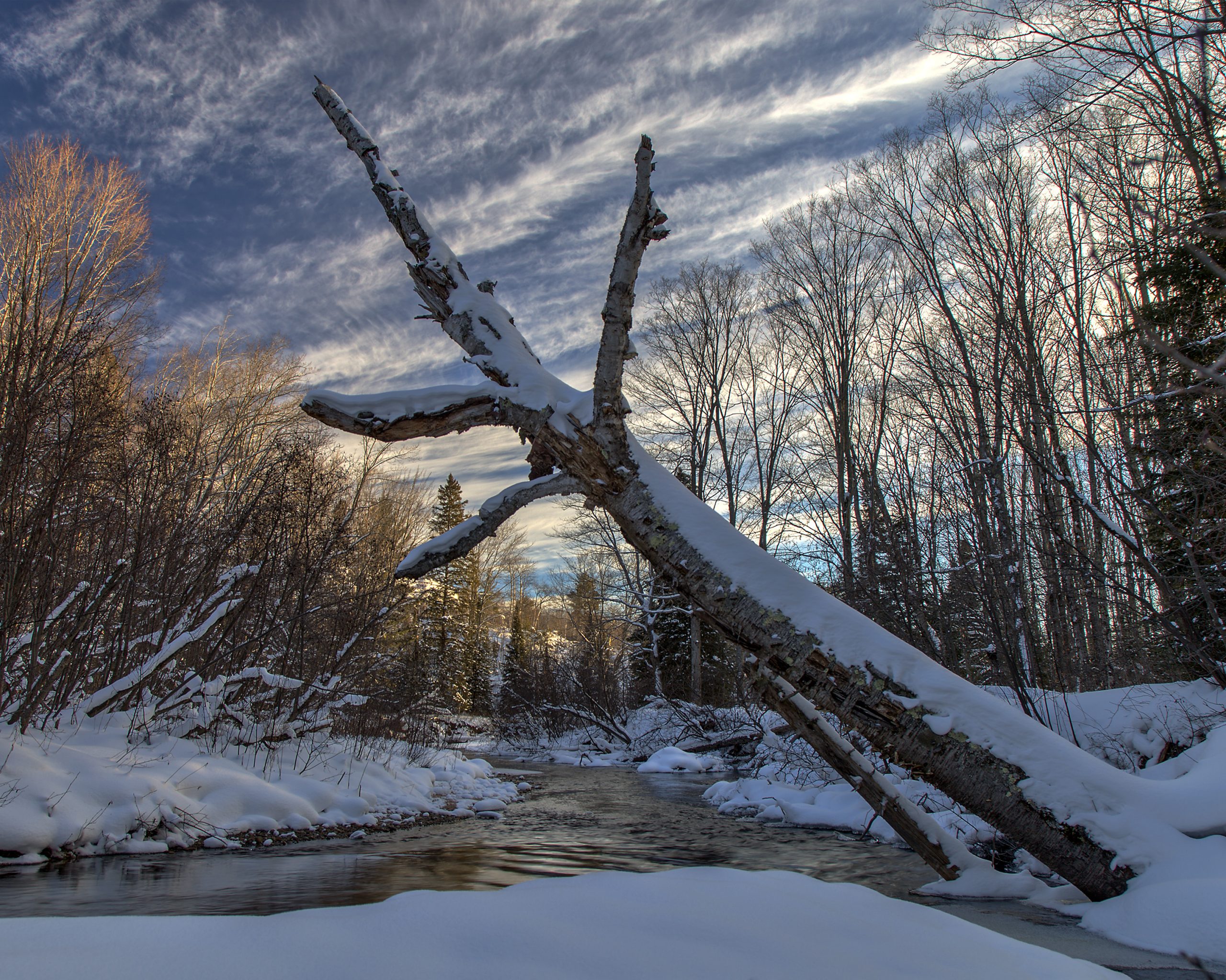 Photo by William Malmsten of the Yellow Dog River Community Forest