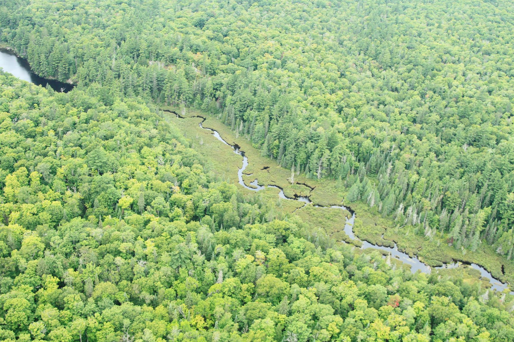 aerial view of Bulldog Lake and Yellow Dog River