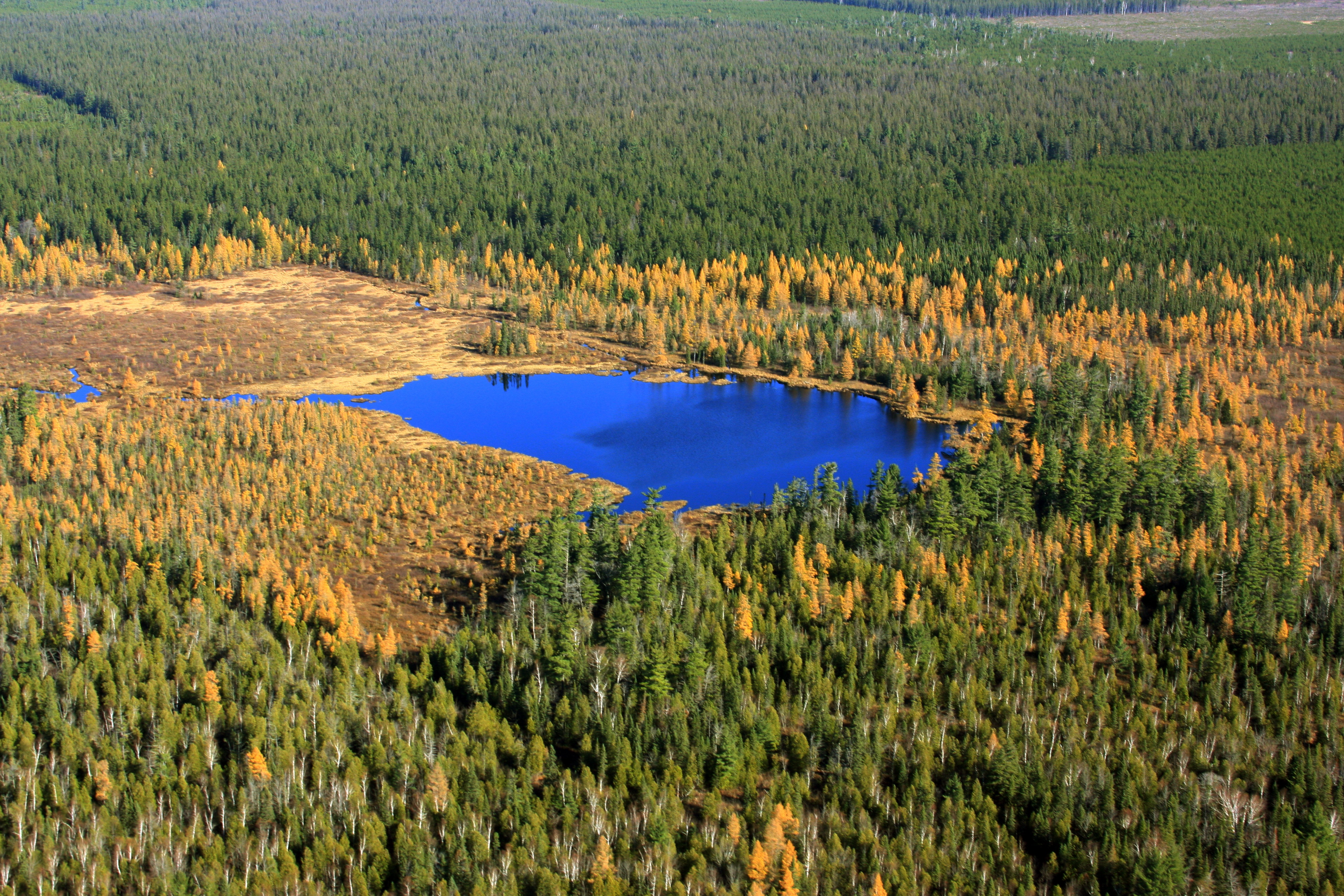 Newest Protected Lands Announced   Yellow Dog Watershed Preserve