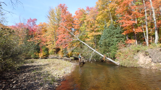 Fly-Fishing Workshop on the Yellow Dog - Yellow Dog Watershed Preserve