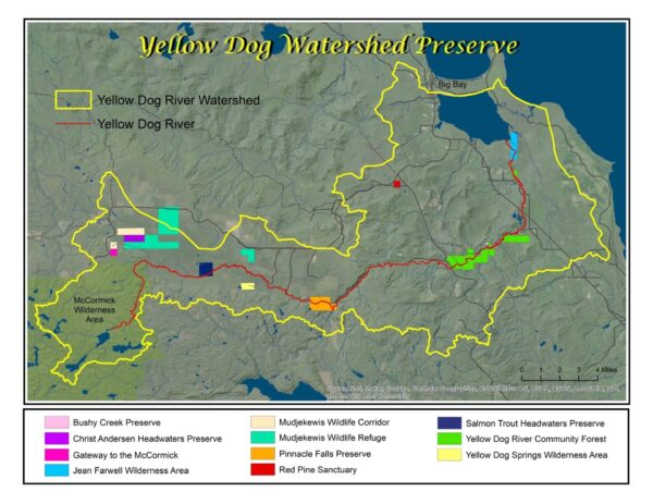 2025 Yellow Dog Watershed Preserve calendar - Image 2