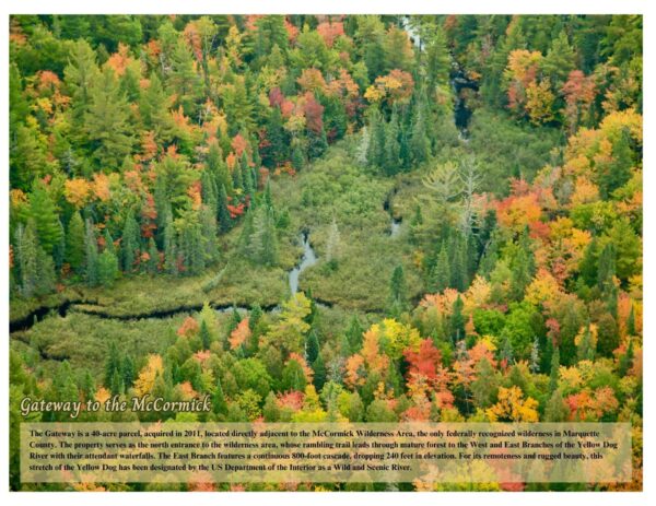 2025 Yellow Dog Watershed Preserve calendar - Image 4