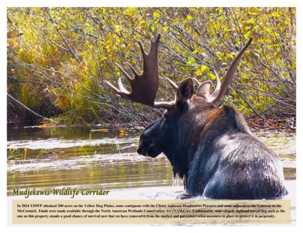 2025 Yellow Dog Watershed Preserve calendar - Image 8