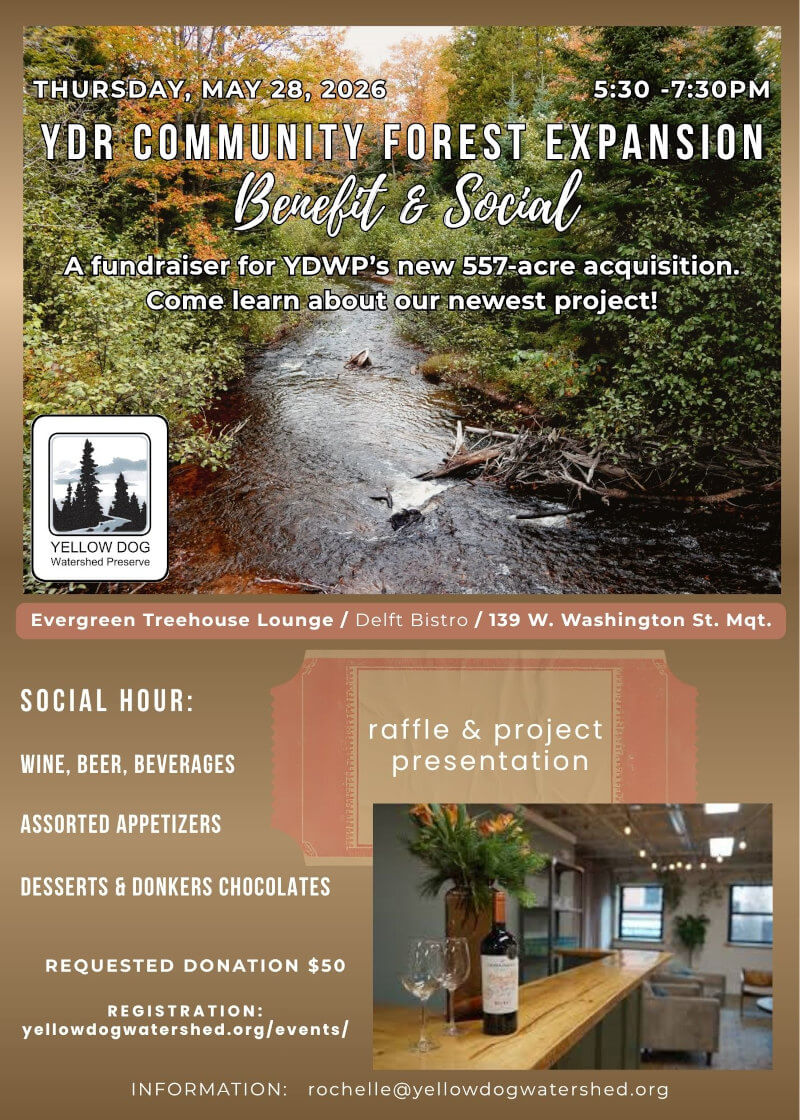ydr-treehouse-benefit